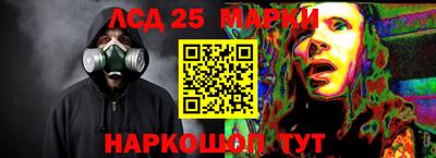 a pvp Жуковский