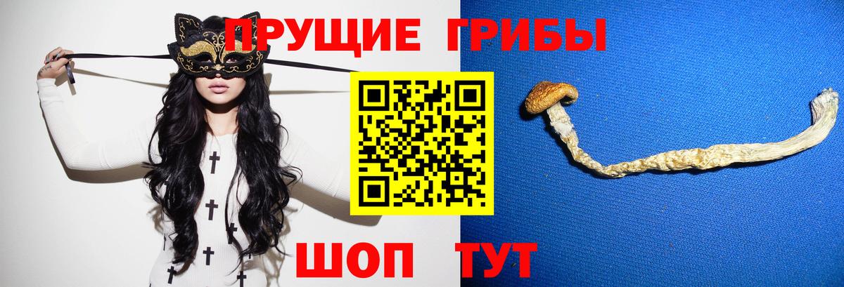 Псилоцибиновые грибы прущие грибы Кумертау