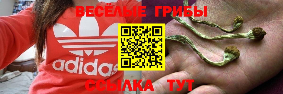 НБОМе Кумертау